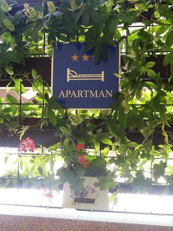 Apartment Perunika 자다르 외부 사진